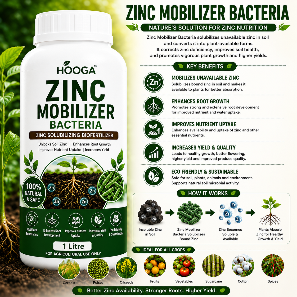 Zinc Mobilizer Bacteria 1 Litre | ZSB Biofertilizer for Plants | HOOGA Seeds