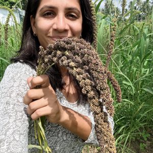Native Black Foxtail Millet Seeds (Karuppu Thinai) | Heirloom | Open Pollinated | Non-GMO | Traditional Millet Seeds