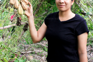 chinna peerkangai